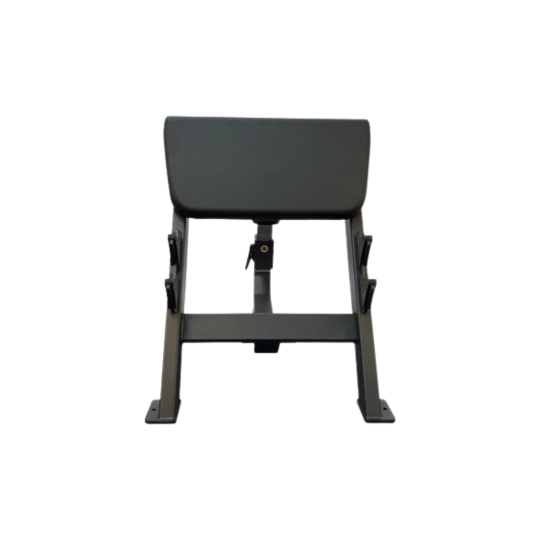 Preacher Curl Bench